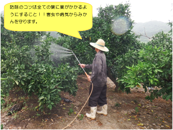 防除作業png.png