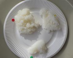 米３品種① (1).JPG