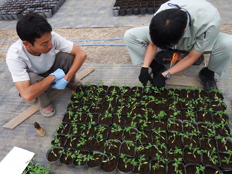 20140919-10.jpg