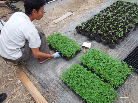 20140919-6.jpg