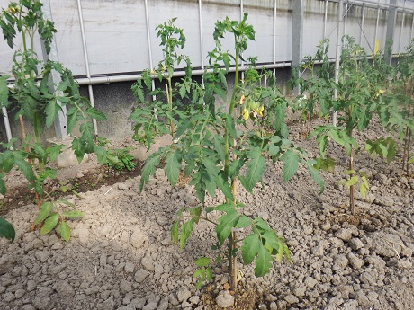 20141111-10.jpg