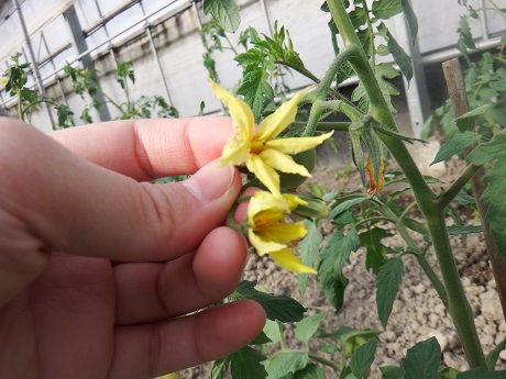 20141111-4.jpg