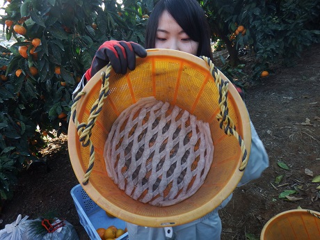 20141127-4.jpg