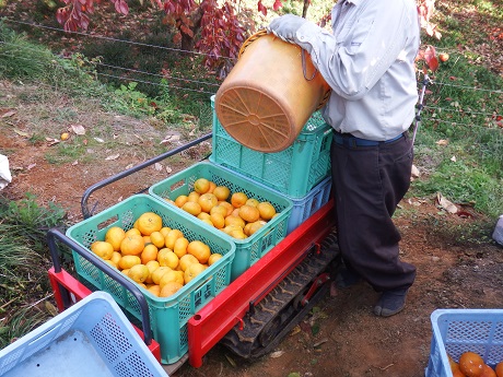 20141127-9.jpg
