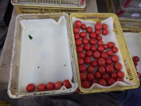 2015-0126-23.jpg