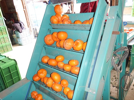 20150223A7.jpg
