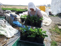 20150601-15.jpg