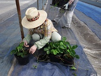 20150601-4.jpg