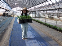 20150601-9.jpg