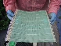 20150723-10.jpg
