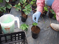 20150723-11.jpg
