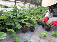 20150723-12.jpg