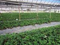 20150723-14.jpg