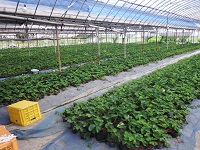 20150723-2.jpg