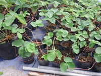 20150723-3.jpg