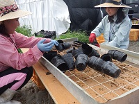 20150723-4.jpg