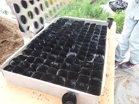 20150723-5.jpg