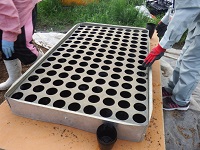 20150723-6.jpg