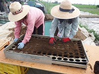 20150723-7.jpg