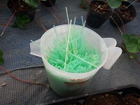 20150723-9.jpg