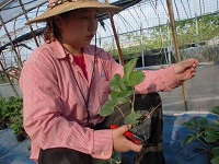 20150904①-3.jpg