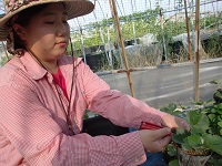 20150904①-4.jpg