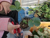 20150904①-5.jpg