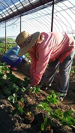 20150922-2.jpg