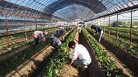 20150922-3.jpg