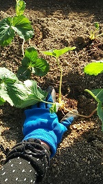 20150922-4.jpg