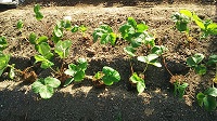 20150922-5.jpg