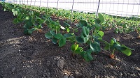 20150922-6.jpg