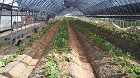 20150922-8.jpg