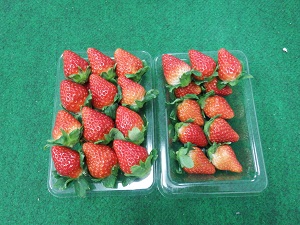 20151127-11.jpg