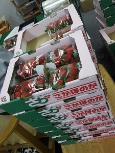 20151127-16.jpg