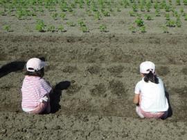 ほんなもんぼ体験学校⑦ (1).JPG