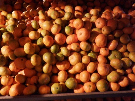 DSCF8902.JPG