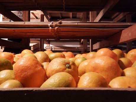 DSCF8911.JPG