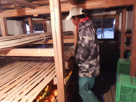 DSCF8915.JPG