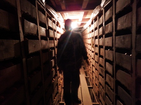 DSCF8932.JPG
