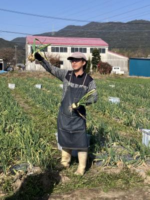 葉玉ねぎ収穫体験_池田氏