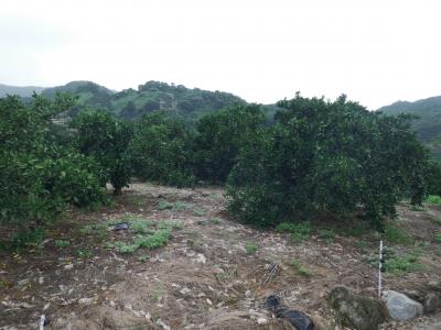 DSCF6001.JPG