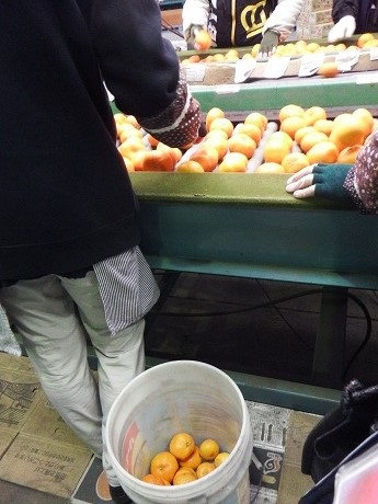 20150223B6.jpgのサムネール画像