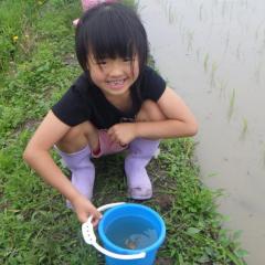 「ほんなもんぼ体験学校」第２回目〜田植え・生き物調べ〜