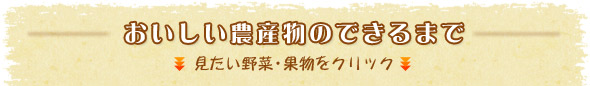 おいしい農産物ができるまで